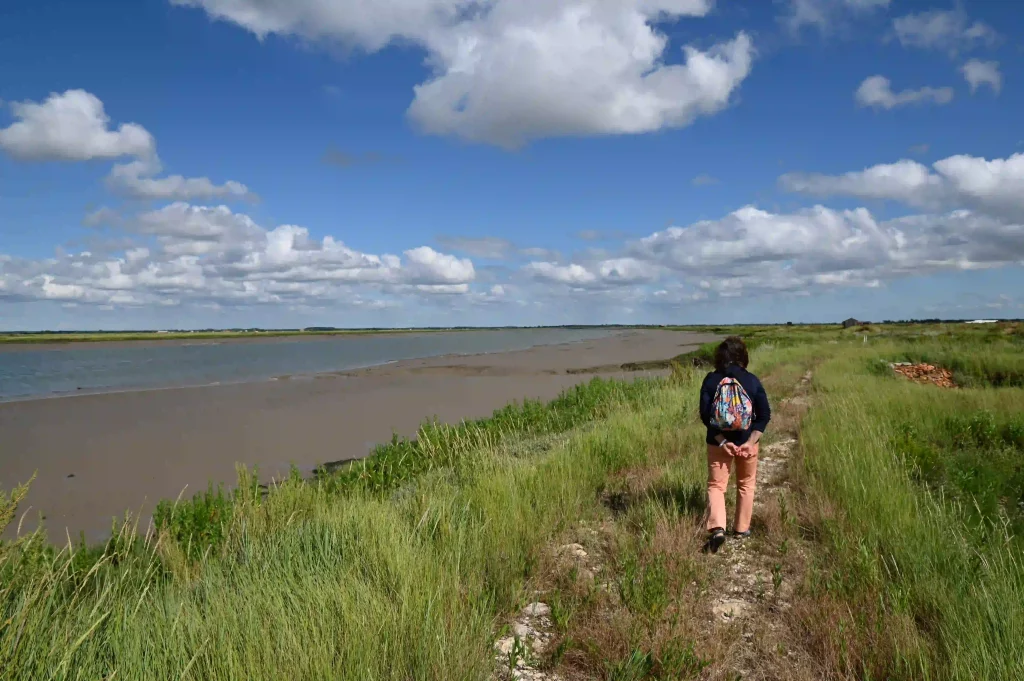 Découverte d’un camping à Saujon en Charente-Maritime avec une promenade en pleine nature au bord de l’eau.